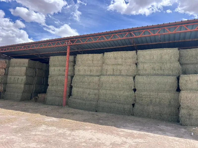 Pacas de alfalfa apiladas bajo un techo de lámina sostenido por estructura de acero naranja.